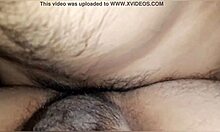 Video amatir gay dari pengalaman seksual intens macho Meksiko